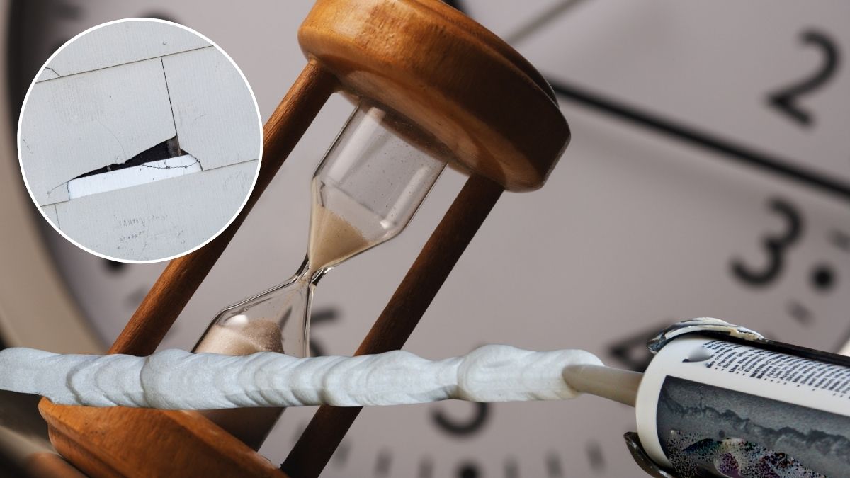 築10年で「塗装しない」リスクと「先延ばし」の限界